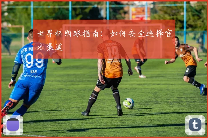 世界杯购球指南:如何安全选择官方渠道