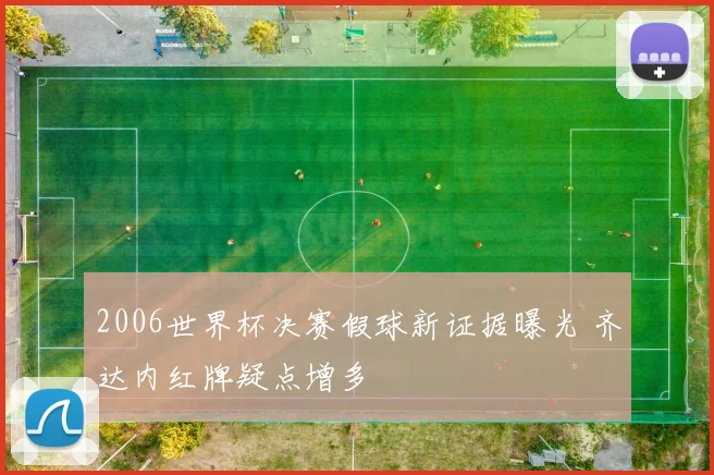 2006世界杯决赛假球新证据曝光 齐达内红牌疑点增多