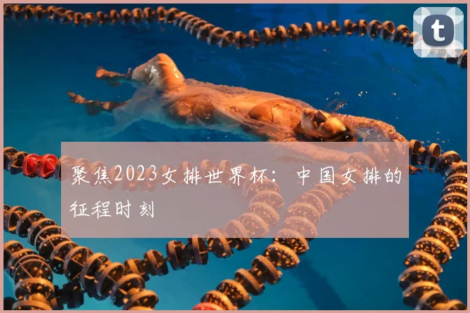 聚焦2023女排世界杯:中国女排的征程时刻