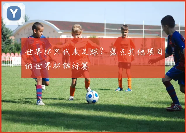 世界杯只代表足球？盘点其他项目的世界杯锦标赛