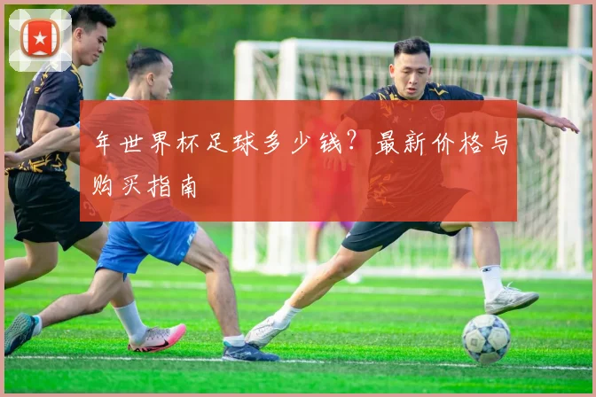 年世界杯足球多少钱？最新价格与购买指南