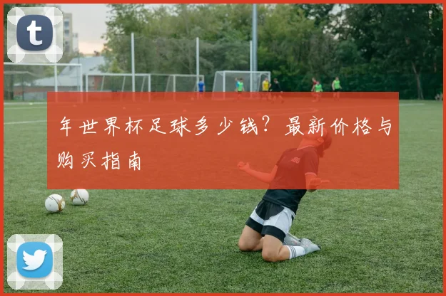 年世界杯足球多少钱？最新价格与购买指南